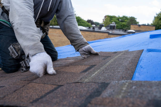 Roof Gutter Cleaning in Chesapeake Ranch Estates, MD